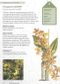The Kew Gardener's Guide to Growing Orchids