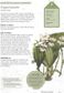 The Kew Gardener's Guide to Growing Orchids