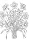 Peonies, Poppies & Petals Coloring Book