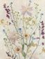 Pressed Flower Handbook