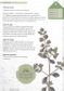 The Kew Gardener's Guide to Growing Herbs