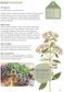 The Kew Gardener's Guide to Growing Herbs