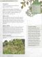 The Kew Gardener's Guide to Growing Herbs