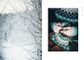 Arctic Knitting &ndash; The Magic of Nature and Colourwork