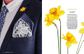 The Handpicked Collection 7
