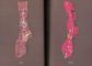 Socks: Imaginative Mending