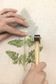 The Art of Tataki Zom&eacute; Botanical Fabric Printing