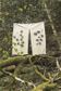 The Art of Tataki Zom&eacute; Botanical Fabric Printing