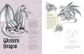The Secret Lives of Dragons and Other Mythical Creatures
