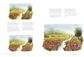 Painting Landscapes