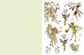 Flower Fairies to Cut Out and Collage