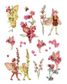 Flower Fairies to Cut Out and Collage