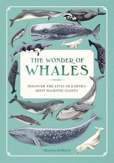 The Wonder of Whales