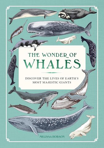The Wonder of Whales