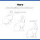 Quick Start Drawing Animals