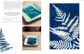 Botanical Cyanotype
