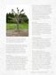 The Kew Gardener's Guide to Growing Trees