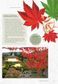 The Kew Gardener's Guide to Growing Trees