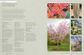 The Kew Gardener's Guide to Growing Trees