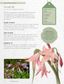 The Kew Gardener's Guide to Growing Bulbs