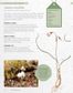The Kew Gardener's Guide to Growing Bulbs
