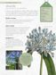 The Kew Gardener's Guide to Growing Bulbs