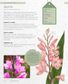 The Kew Gardener's Guide to Growing Bulbs