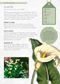 The Kew Gardener's Guide to Growing Bulbs