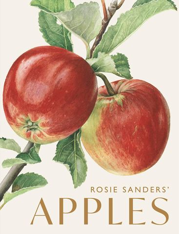 Rosie Sanders' Apples