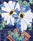 Inspiration in Color & Cloth The Art Quilts of Katie Pasquin
