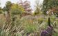 The Creative Gardener