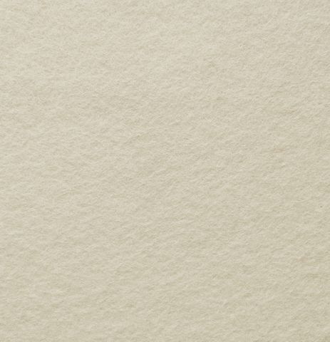Pure Wool Felt - Champagne
