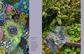 Kaffe Fassett's Quilts at an English Manor House