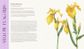 The Folklore of Wildflowers