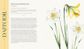The Folklore of Wildflowers