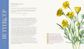 The Folklore of Wildflowers