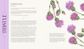 The Folklore of Wildflowers