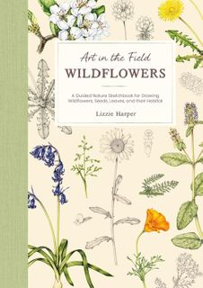 Art in the Field: Wildflowers
