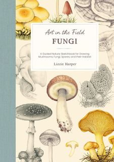 Art in the Field: Fungi