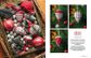 Inspirations #132 &ndash; Deck the Halls