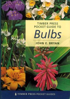 Timber Press Pocket Guide to Bulbs