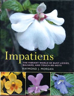 Impatiens