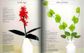 100 Simple Paper Flowers