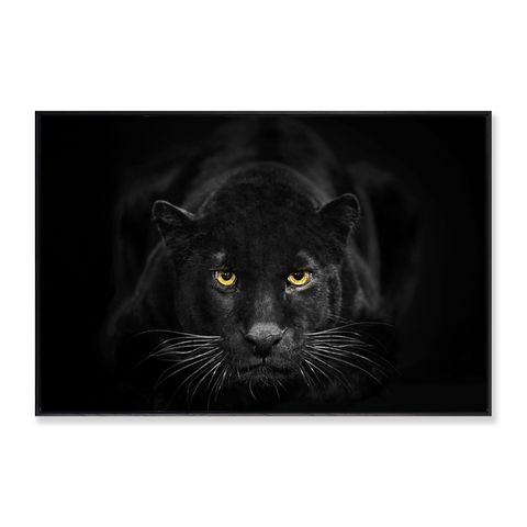 Black Panther Framed Canvas Print 90x60