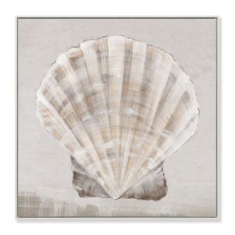 Shell Study Framed Canvas Print 50x50