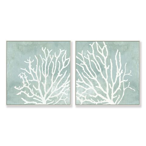 Coral Reef set of 2 Framed Canvas Prints 45x45