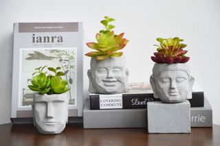 Set 3 Cement Buddha Planter with Succulents