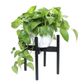 Adjustable Bamboo Planter Stand - Black