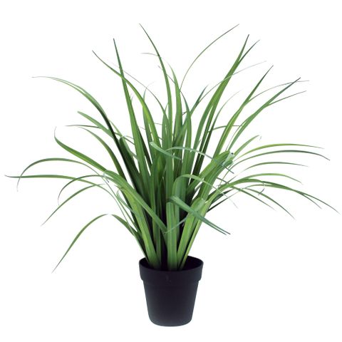 Grass with Black Pot 77cm