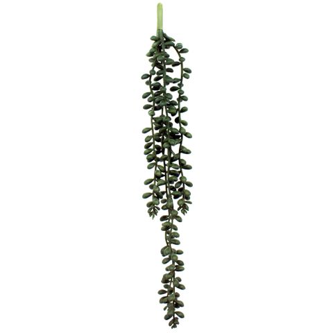 Hanging Pearl Succulent 35.5cm
